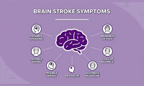 Risk Factors and Causes of Brain Aneurysm 