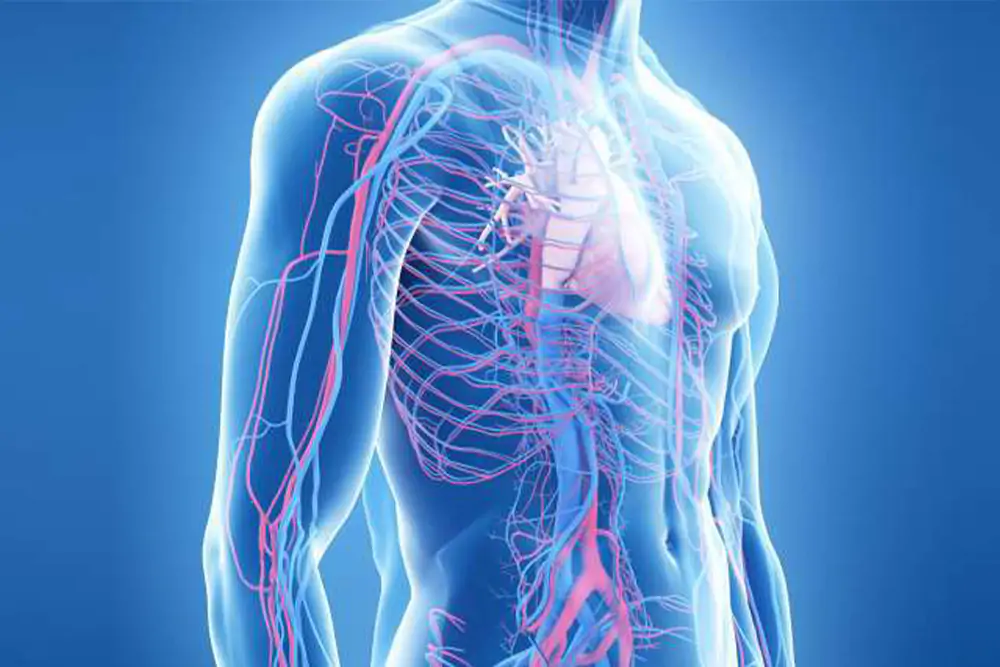 neurovascular_surgery_1 neurovascular_surgery_1