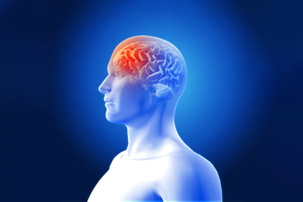 traumatic_brain_injury_1 traumatic_brain_injury