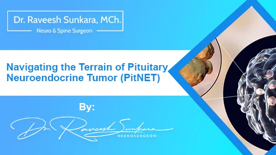 Navigating the terrain of pituitary neuroendocrine tumor (PitNET)