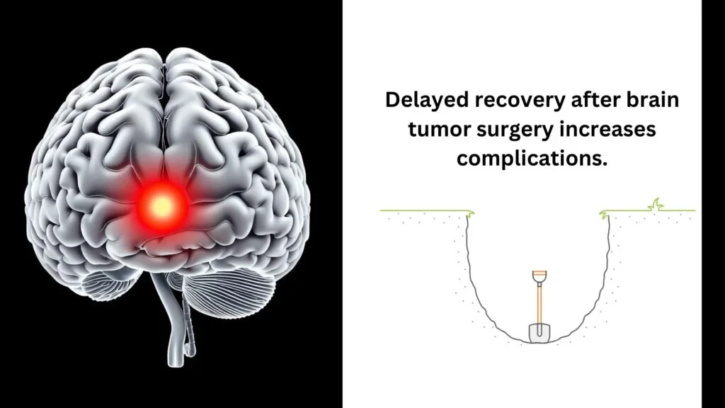 Factors Affecting Brain Tumour Operation Recovery Time