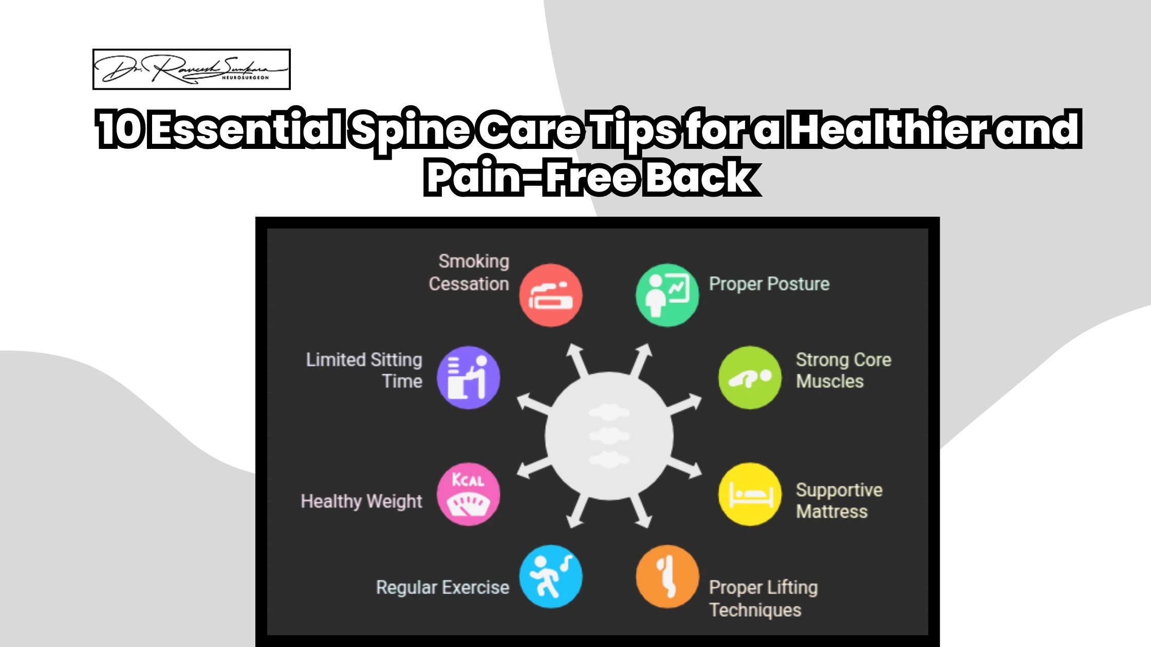Spine Care Tips (2) Spine Care Tips (2)