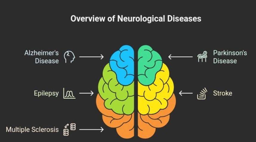 what are neurological problems